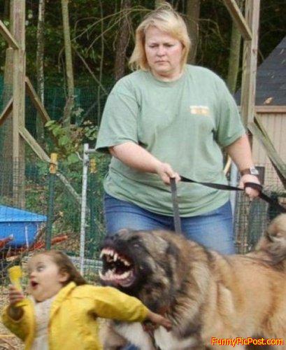 Funny Pic