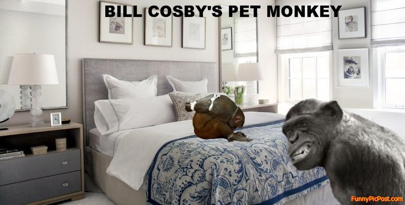 Funny Pic