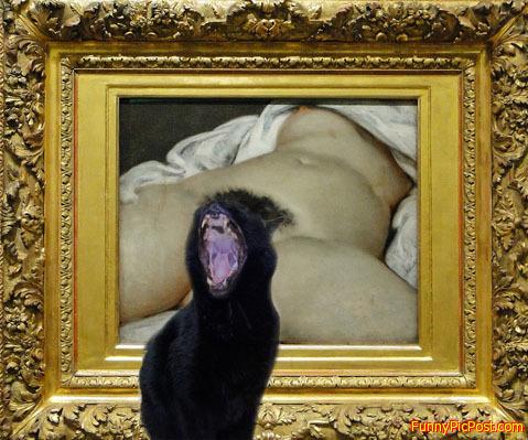 Funny Pic