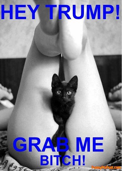 Funny Pic