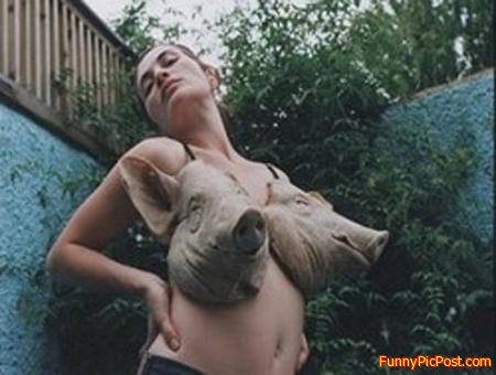 Funny Pic