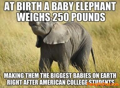 Funny Pic
