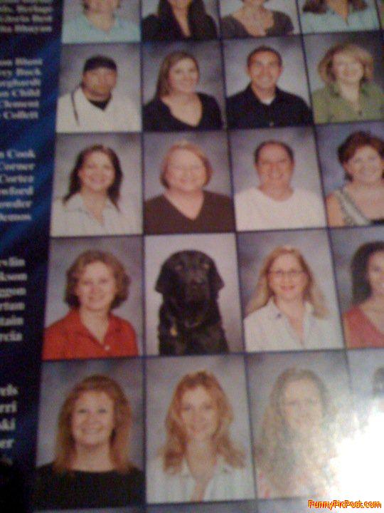 Funny Pic