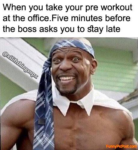 Funny Pic