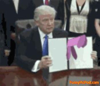 Funny Pic