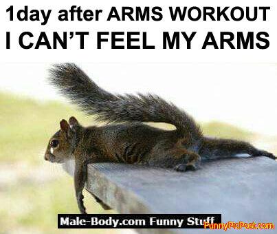 Funny Pic