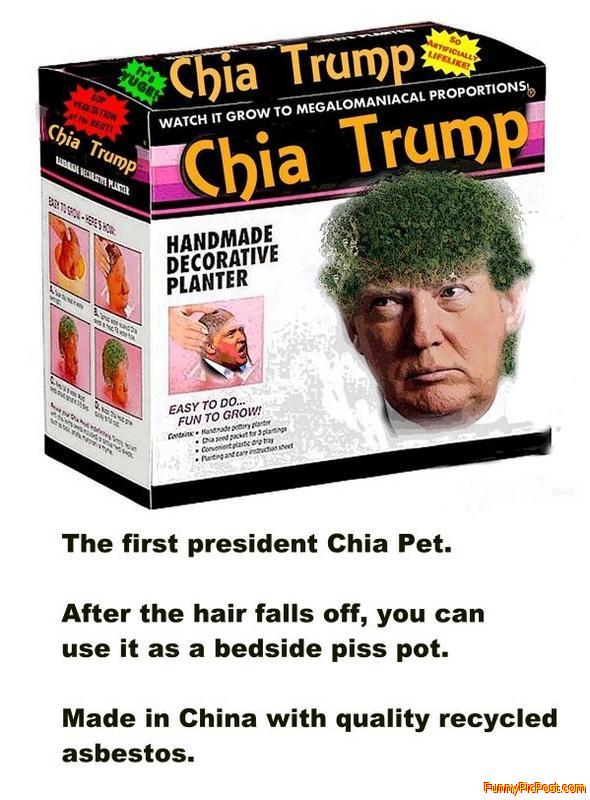 Chia Trump