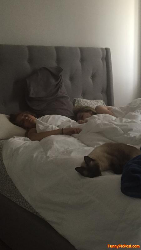 Lazy bums