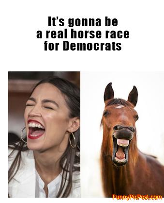 Democratic Horse Race